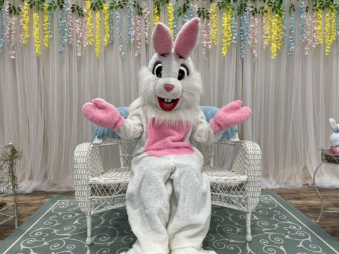 Easter Bunny mascot