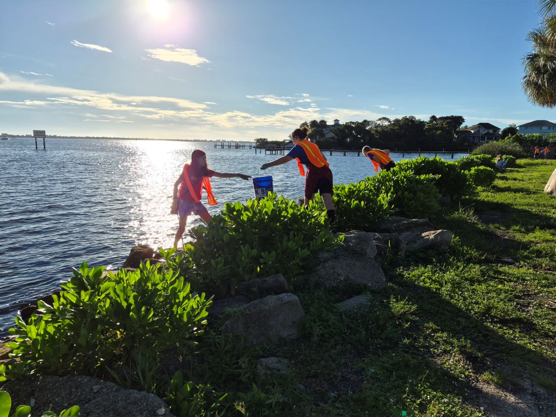 3 volunteers remove litter from rocks along Indian River Lagoon shoreline at Ballard Park