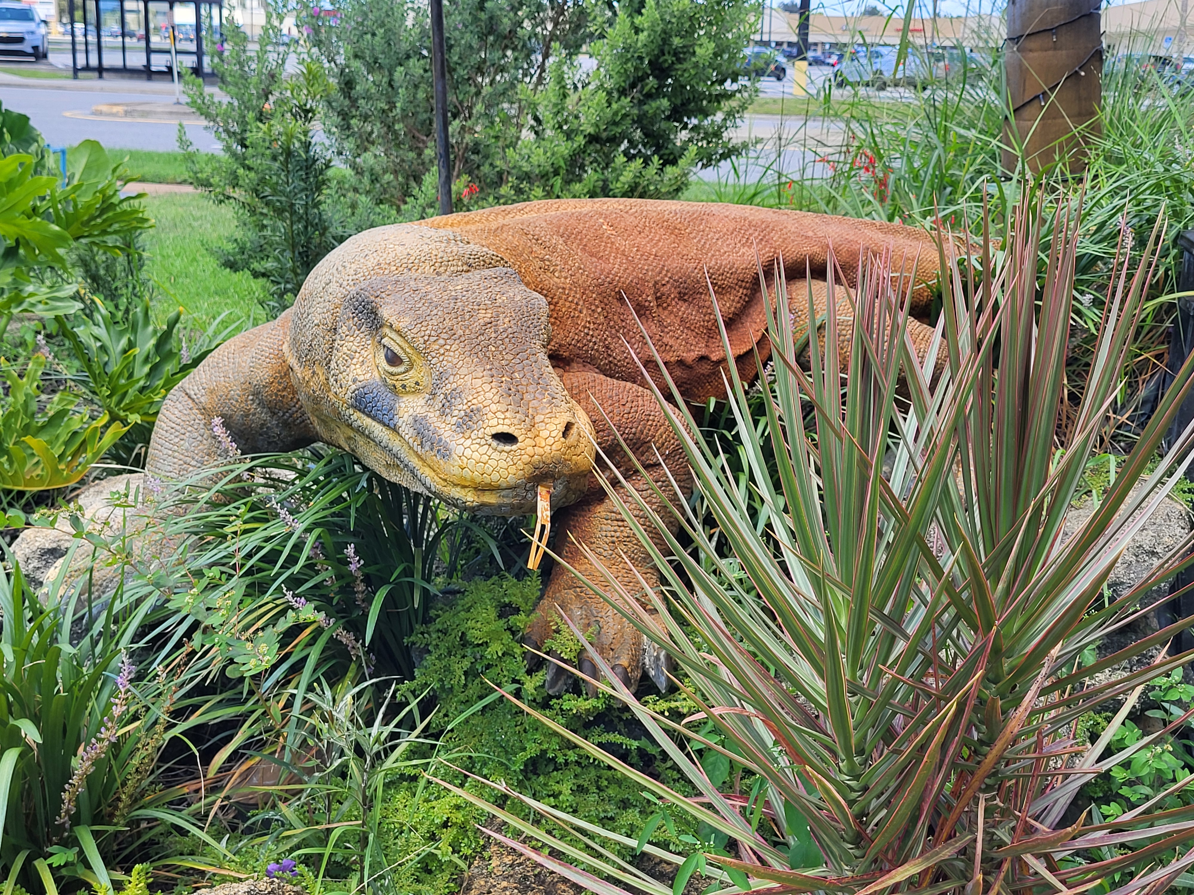 Komodo dragon statue adorns Melbourne Kitchen's garden next to outdoor patio
