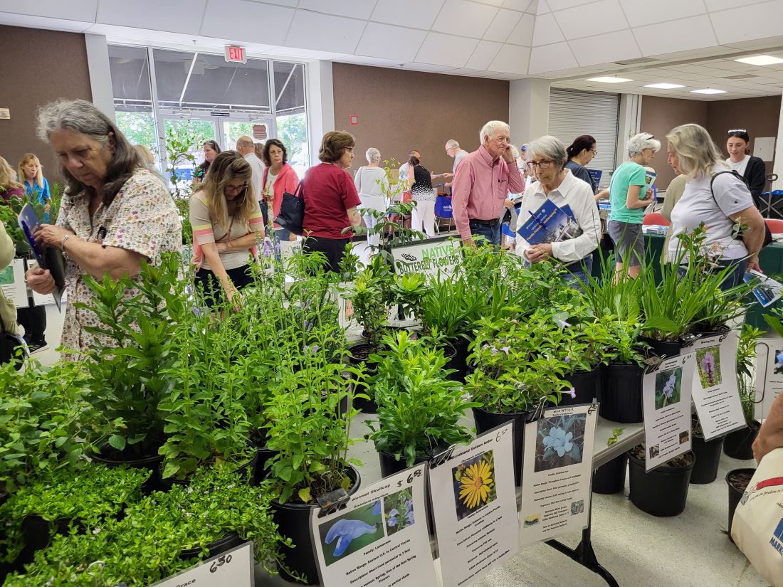 Attendees view plants at the Florida Friendly Landscaping Seminar