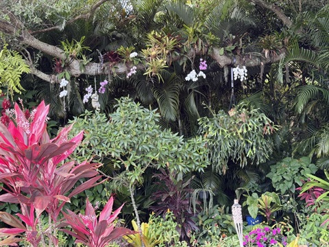 Garden from the Secret Garden Tour