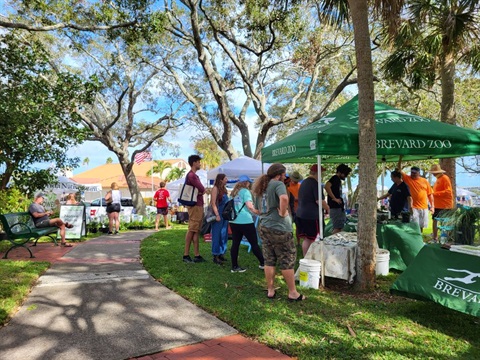 IRL Day attendees visiting an educational exhibit at Front Street Park.