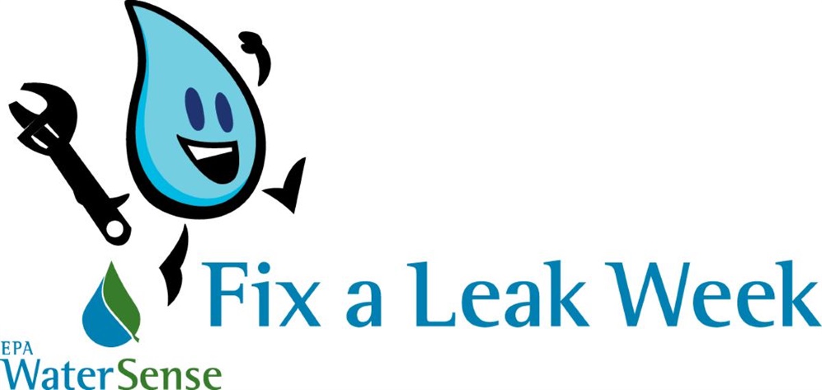 Fix a Leak Week to Save Water