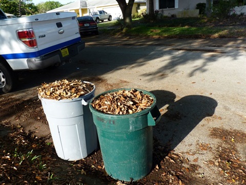Two trash cans filled with leaves and other loose yard debris and placed in the right of way.