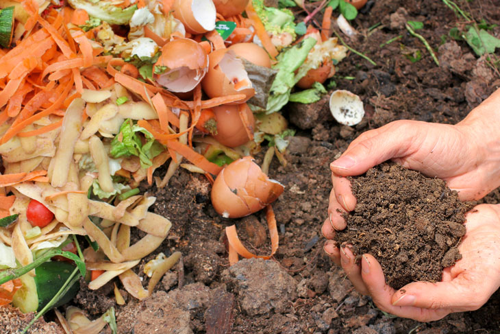 Vegetable scraps and egg shells on one side, good rich soil on the other. Person's two hands form a cup to hold some of the soil.