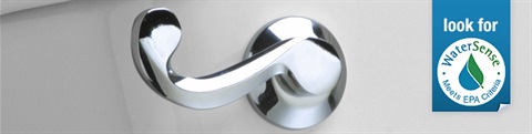 Toilet flush handle with the 